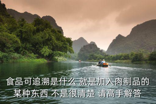 食品可追溯是什么 就是加入肉制品的某種東西 不是很清楚 請(qǐng)高手解答