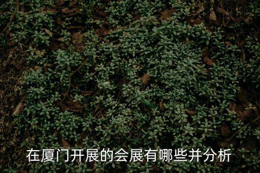 在廈門開展的會展有哪些并分析
