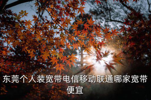 東莞寬帶，東莞個人裝寬帶電信移動聯通哪家寬帶便宜