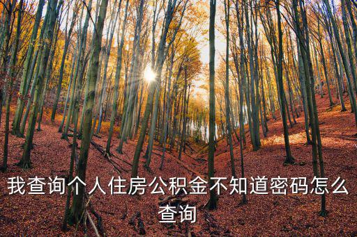 我查詢個人住房公積金不知道密碼怎么查詢