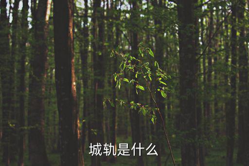 城軌是什么