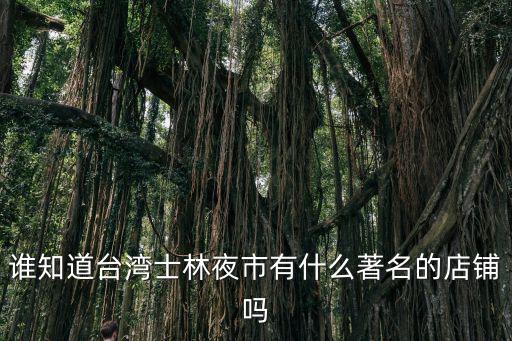 誰(shuí)知道臺(tái)灣士林夜市有什么著名的店鋪嗎