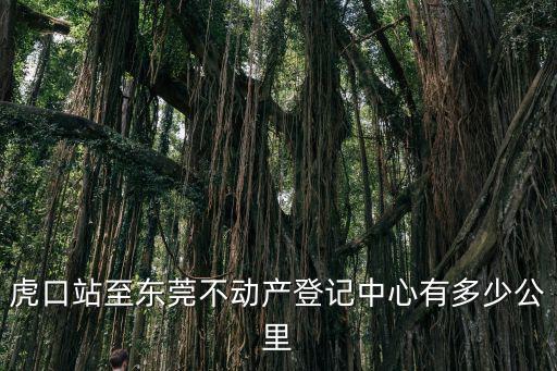 虎口站至東莞不動(dòng)產(chǎn)登記中心有多少公里