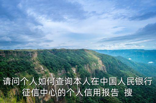請(qǐng)問(wèn)個(gè)人如何查詢(xún)本人在中國(guó)人民銀行征信中心的個(gè)人信用報(bào)告  搜