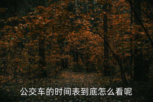 公交車的時(shí)間表到底怎么看呢