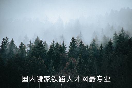 鐵路人才網，中國鐵路人才招聘網怎么在網上報名啊是填寫簡歷么 填寫的第二頁