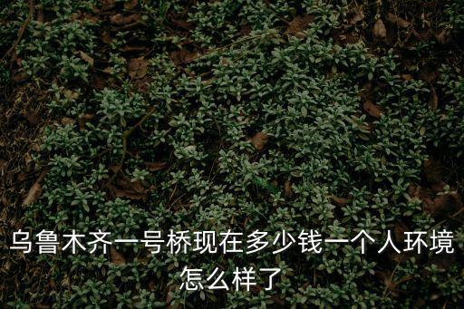 烏魯木齊一號橋現(xiàn)在多少錢一個人環(huán)境怎么樣了