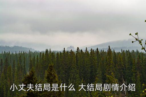 小丈夫結局是什么 大結局劇情介紹