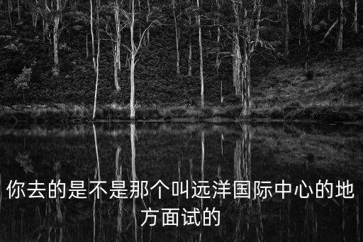 你去的是不是那個叫遠洋國際中心的地方面試的
