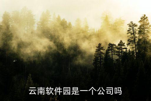 軟件園，云南軟件園是一個公司嗎