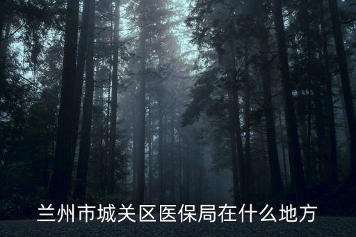 蘭州市醫保局，想問蘭州市醫保局大概在哪里