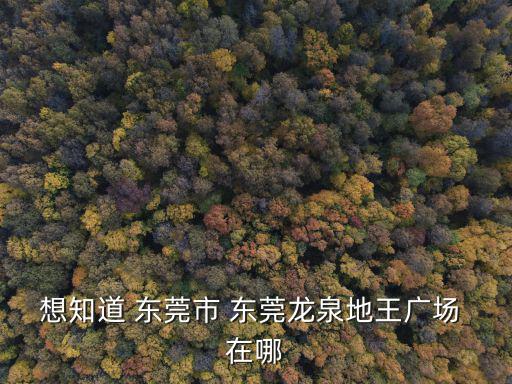 想知道 東莞市 東莞龍泉地王廣場 在哪