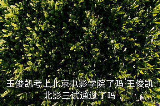 王俊凱最新消息，王俊凱最近在不在重慶