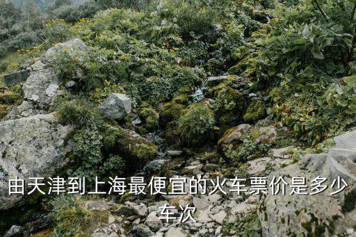 由天津到上海最便宜的火車票價是多少車次