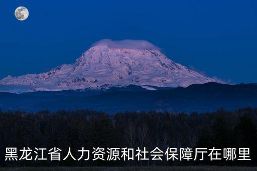 黑龍江省人力資源和社會保障廳在哪里