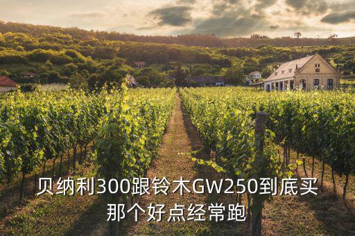 鈴木300，鈴木250摩托車 300斤左右的