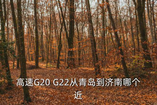 高速G20 G22從青島到濟(jì)南哪個近