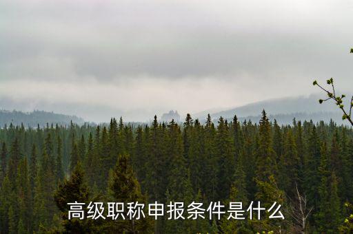 高級職稱申報條件是什么