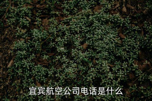 航空公司客服電話，深 圳 航 空 服 務(wù) 電 話