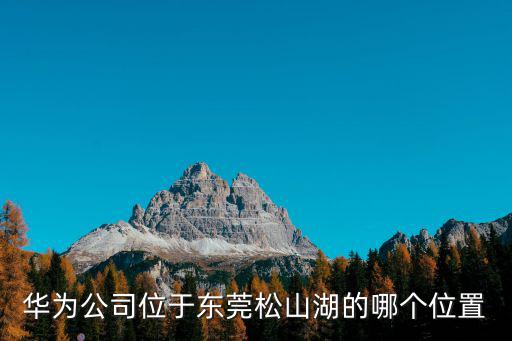 華為公司位于東莞松山湖的哪個位置