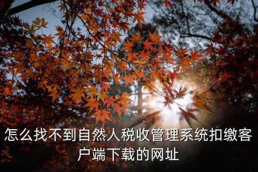 怎么找不到自然人稅收管理系統扣繳客戶端下載的網址