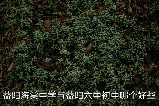 益陽海棠中學(xué)與益陽六中初中哪個(gè)好些