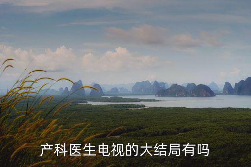 產科醫生電視的大結局有嗎