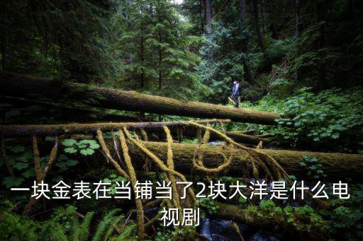 一塊金表在當鋪當了2塊大洋是什么電視劇