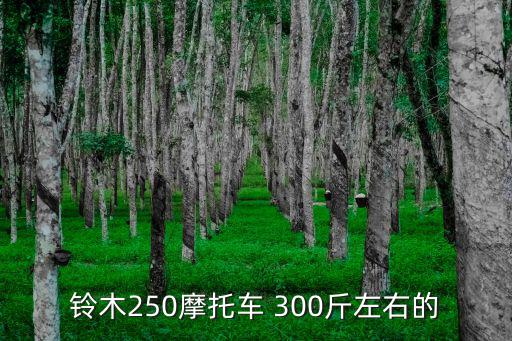 鈴木250摩托車 300斤左右的
