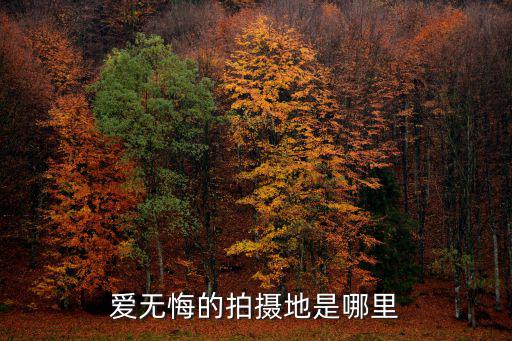 愛無悔的拍攝地是哪里