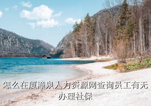 怎么在廈漳泉人力資源網(wǎng)查詢員工有無辦理社保