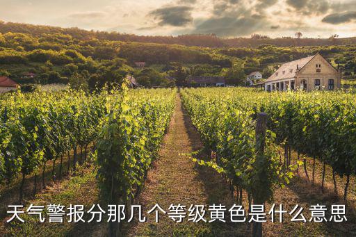 天氣警報分那幾個等級黃色是什么意思
