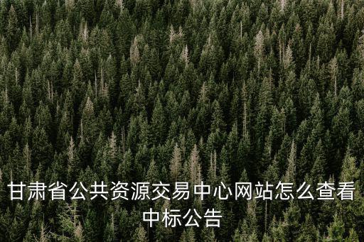 甘肅省公共資源交易中心網(wǎng)站怎么查看中標(biāo)公告