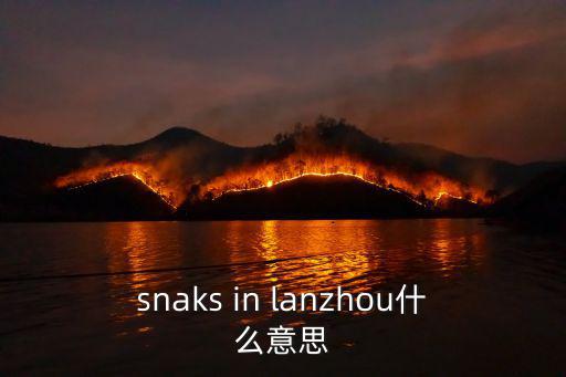 snaks in lanzhou什么意思