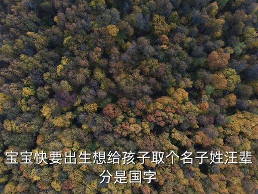 寶寶快要出生想給孩子取個(gè)名子姓汪輩分是國字