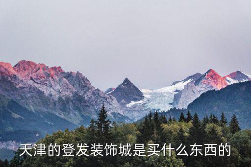 天津的登發裝飾城是買什么東西的