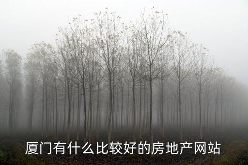 廈門有什么比較好的房地產(chǎn)網(wǎng)站