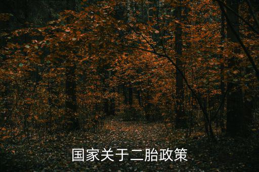 國家關(guān)于二胎政策