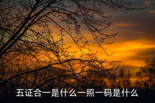 五證合一是什么一照一碼是什么