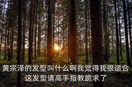 黃宗澤的發型叫什么啊我覺得我很適合這發型請高手指教跪求了