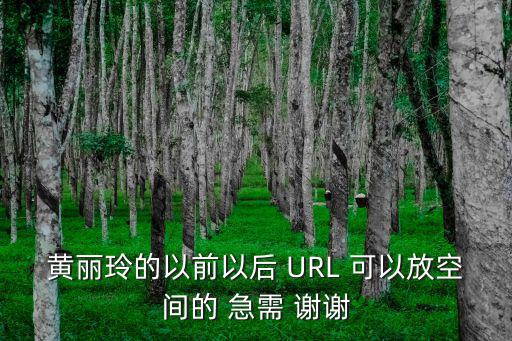 黃麗玲的以前以后 URL 可以放空間的 急需 謝謝