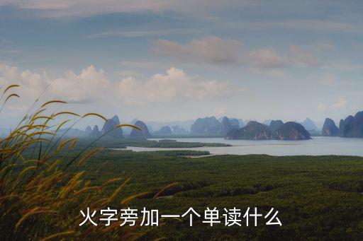 火字旁加一個單讀什么