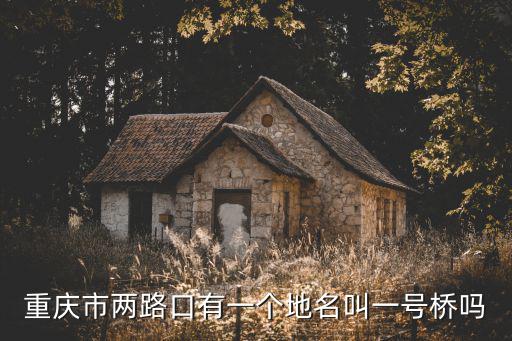 一號橋，重慶市兩路口有一個地名叫一號橋嗎