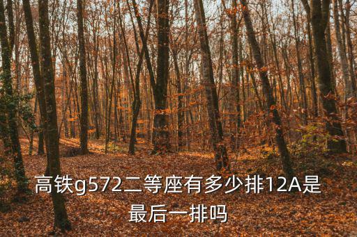 高鐵紀念幣，高鐵g572二等座有多少排12A是最后一排嗎