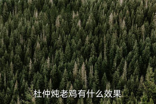 杜仲燉老雞有什么效果