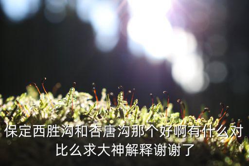 西勝溝，保定西勝溝和杏唐溝那個(gè)好啊有什么對(duì)比么求大神解釋謝謝了