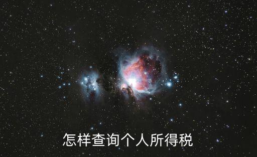 怎樣查詢個人所得稅