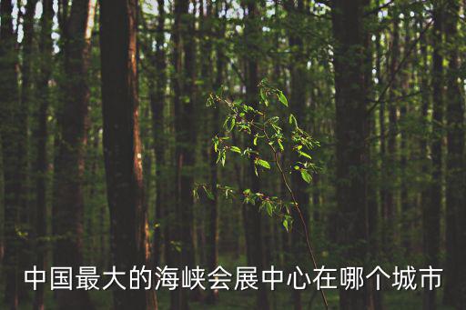 中國最大的海峽會展中心在哪個城市