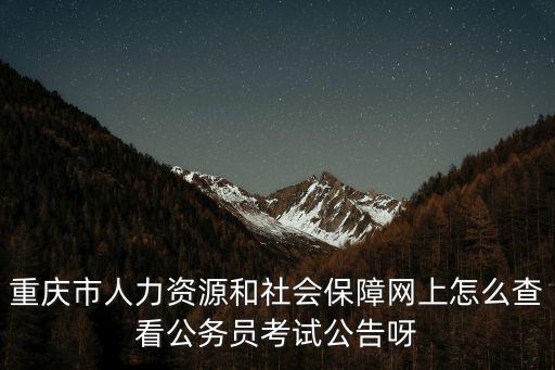 重慶市人力資源和社會保障網上怎么查看公務員考試公告呀