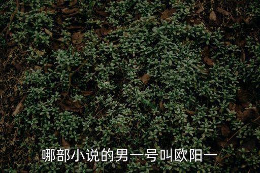 哪部小說的男一號(hào)叫歐陽一